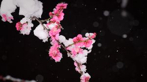 海信43V3F电视(0004)BOM04_L0729刷机固件Vidda_U盘升级包